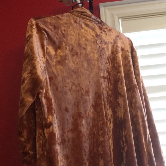 Copper Velvet Cardigan - Picture 3 of 3